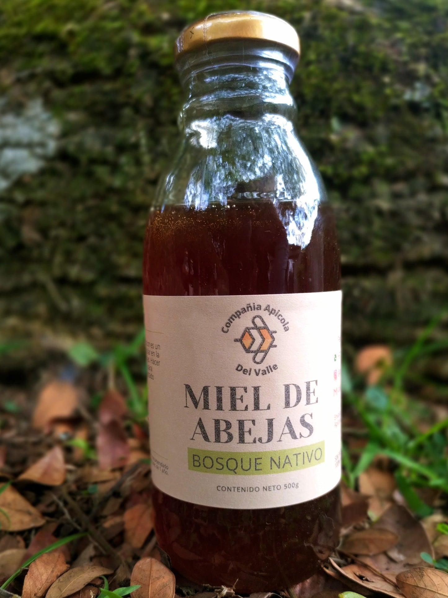 Miel de Abejas Bosque Nativo
