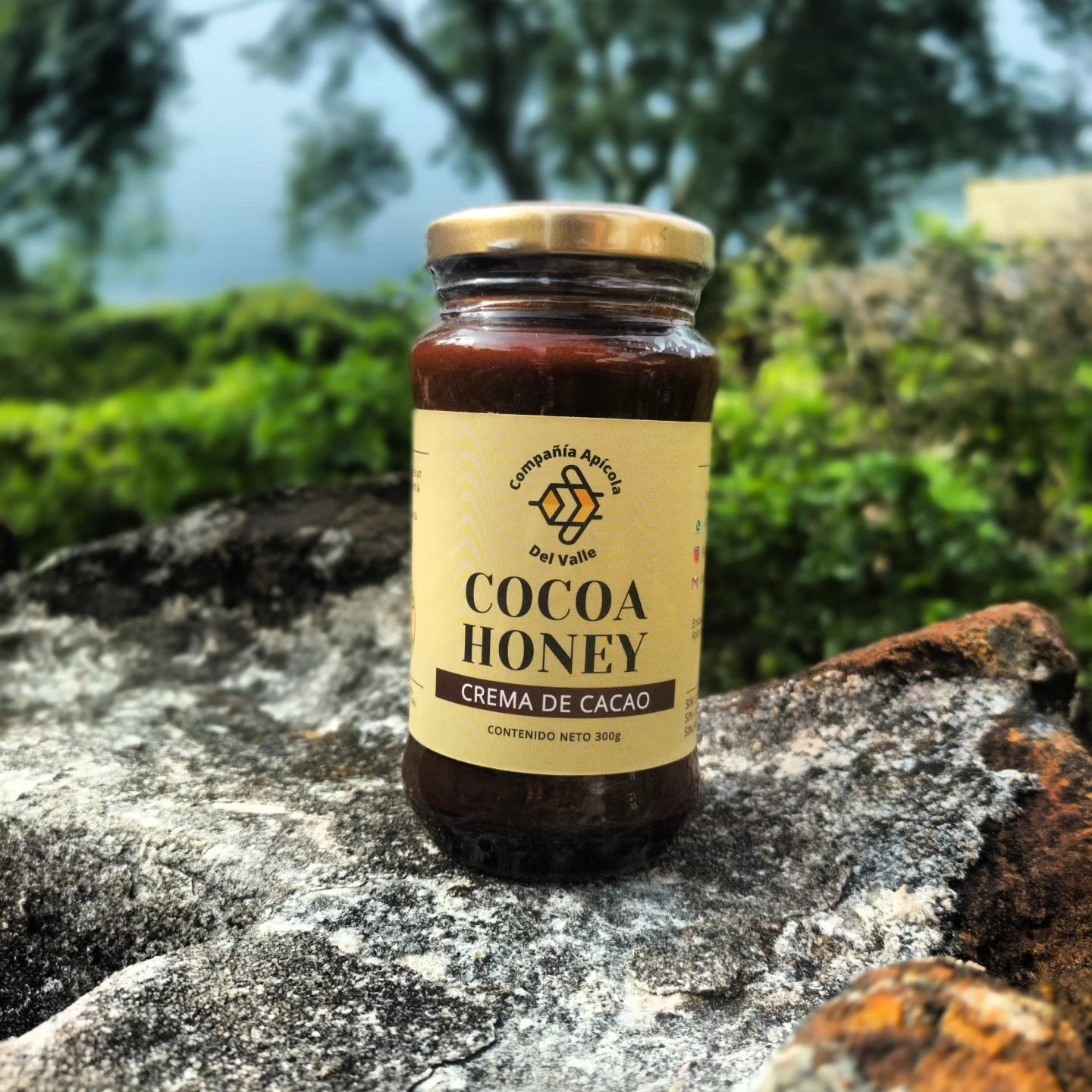 Cocoa Honey