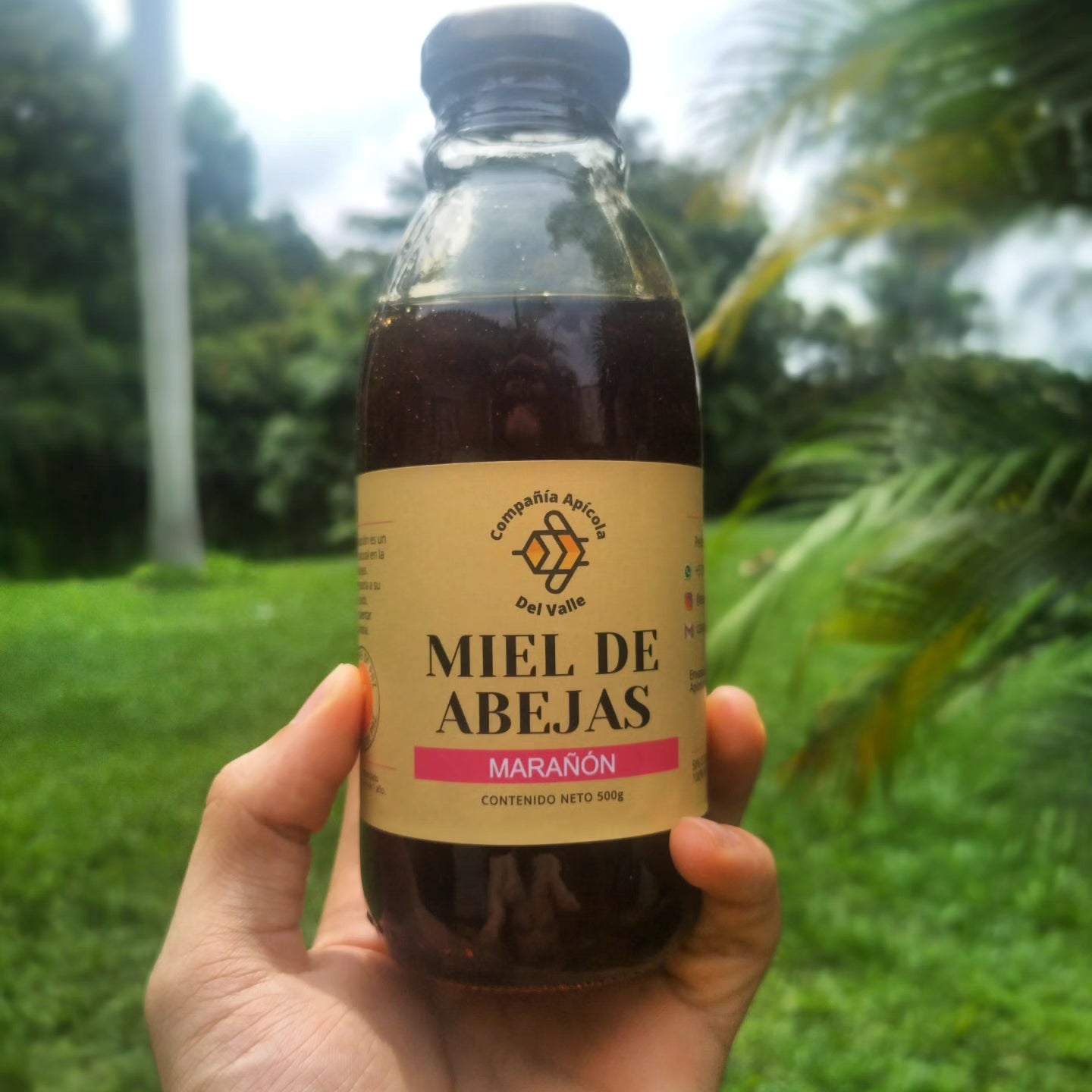 Miel de Abejas Marañon